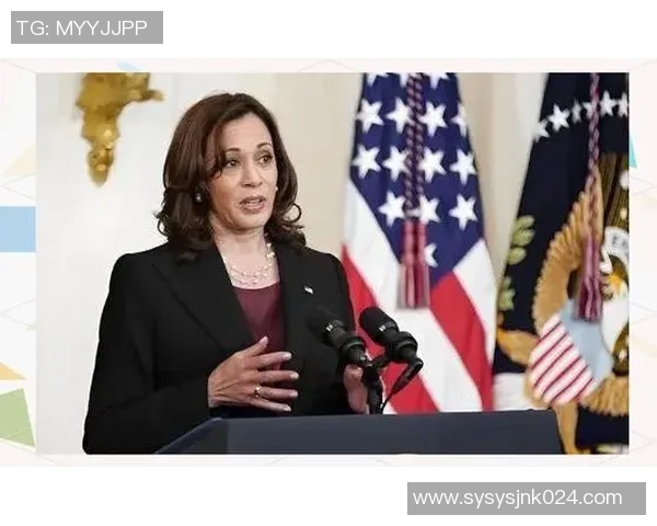 美国2024大选前瞻：政治极化加剧对选民行为的深远影响分析